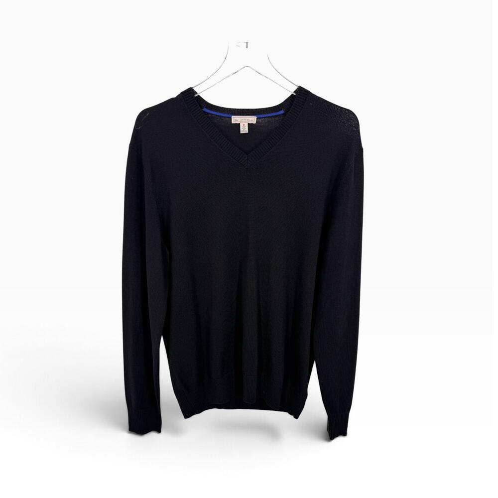 Gap sweater men's M extra fine merino wool pullover V neck rib knit minimalist
